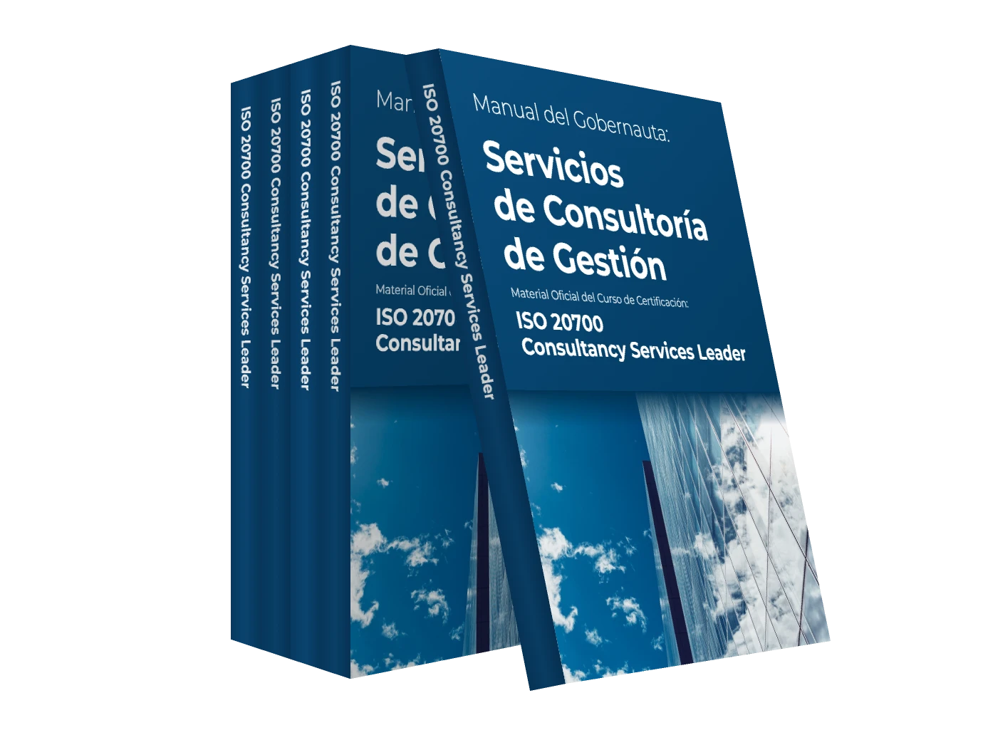 Manual del Gobernauta del curso ISO 20700 Consultancy Services Leader