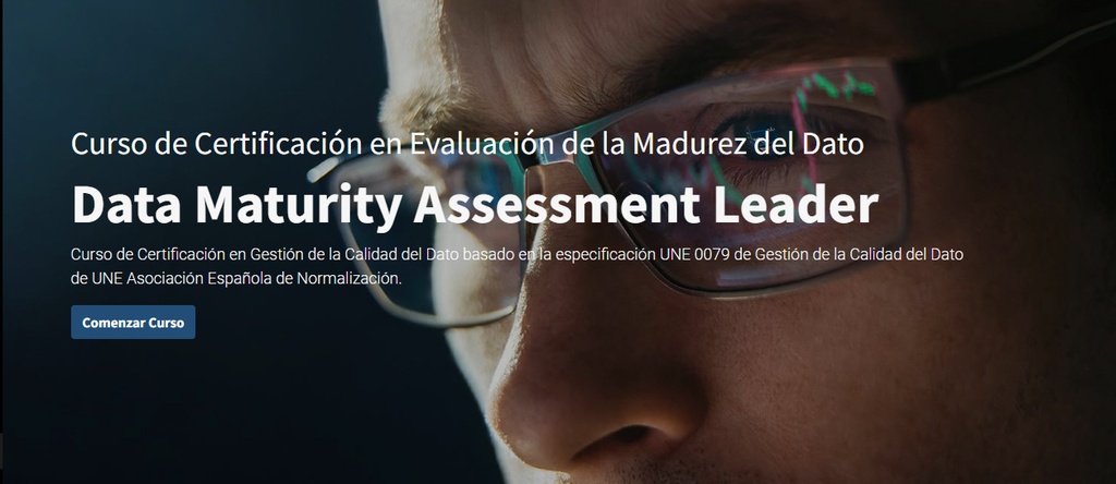 Data Maturity Assesment Leader