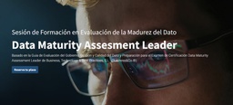 Data Maturity Assesment Leader